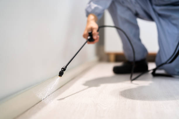Cockroach Species Identification in Goodman